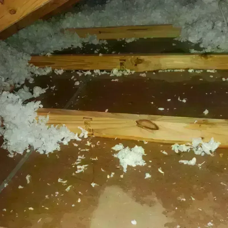 Attic Water Damage in Farmington, CT