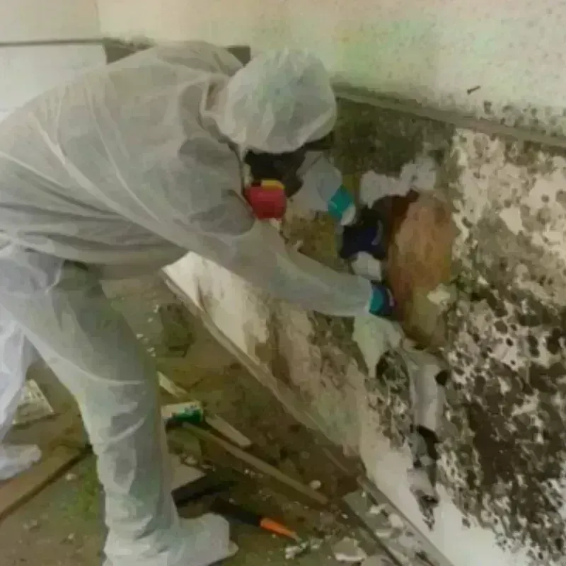 Mold Remediation and Removal in Farmington, CT